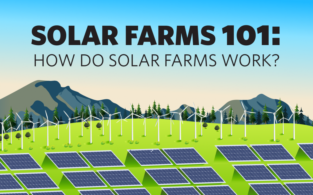 Solar Farms 101: How do Solar Farms Work?