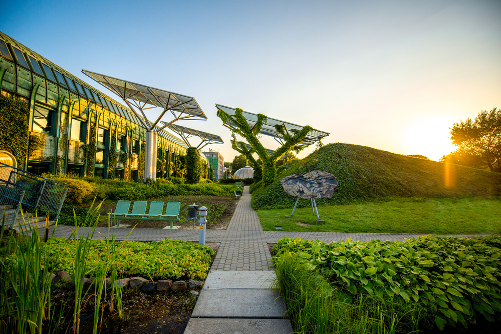 Sustainable Synergy: How Green Roofs and Solar Panels Complement Each Other