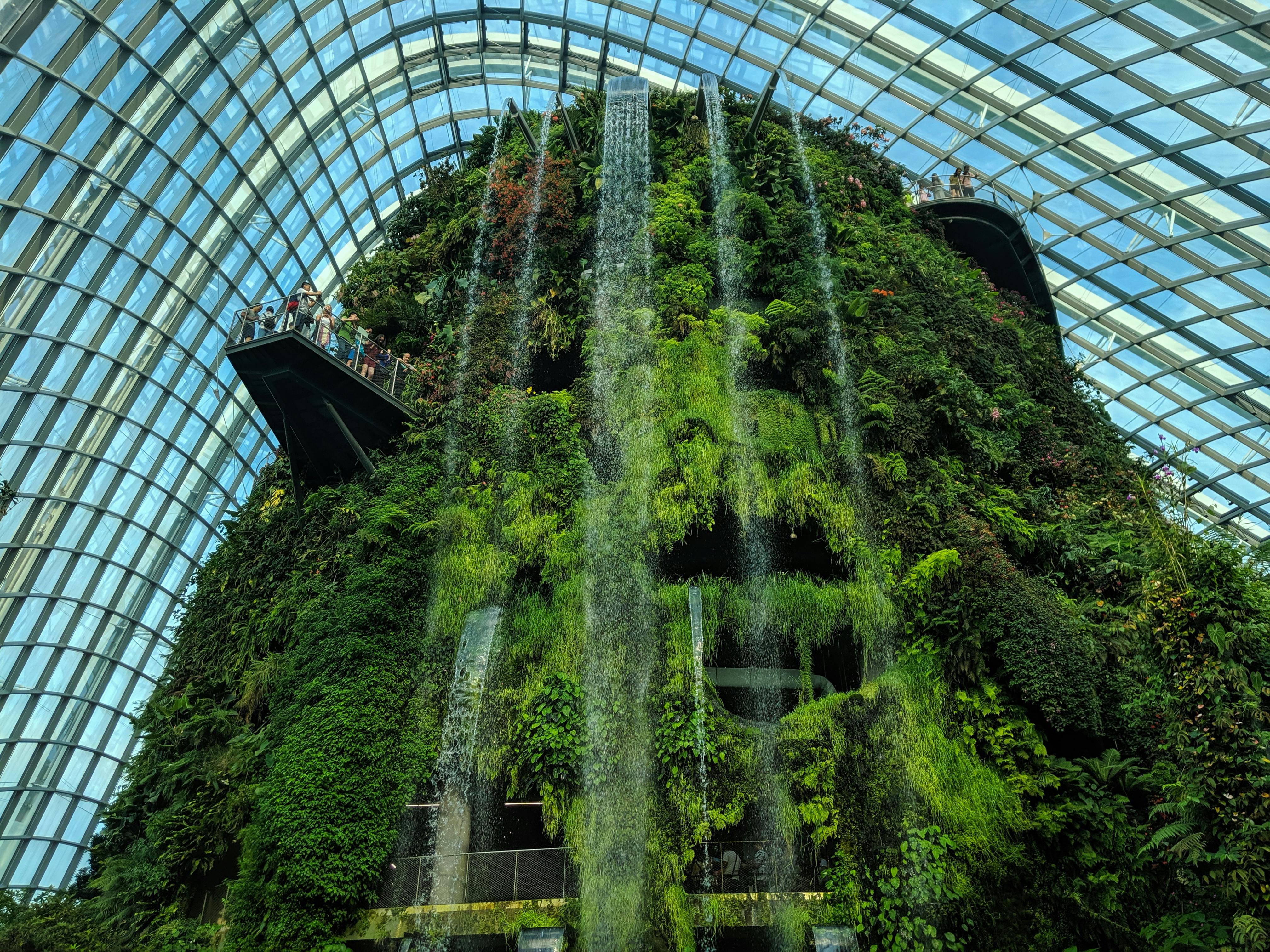 Understanding LEED Certification in the Philippines: A Beginner’s Overview