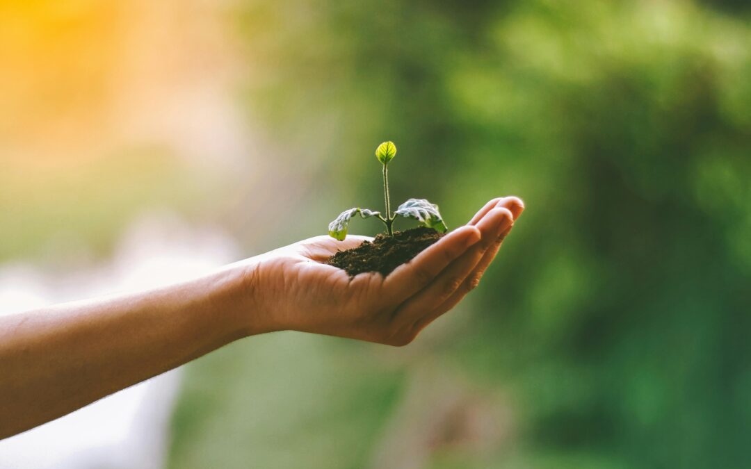 Global Green Jobs Statistics That Guide Strategic Planning