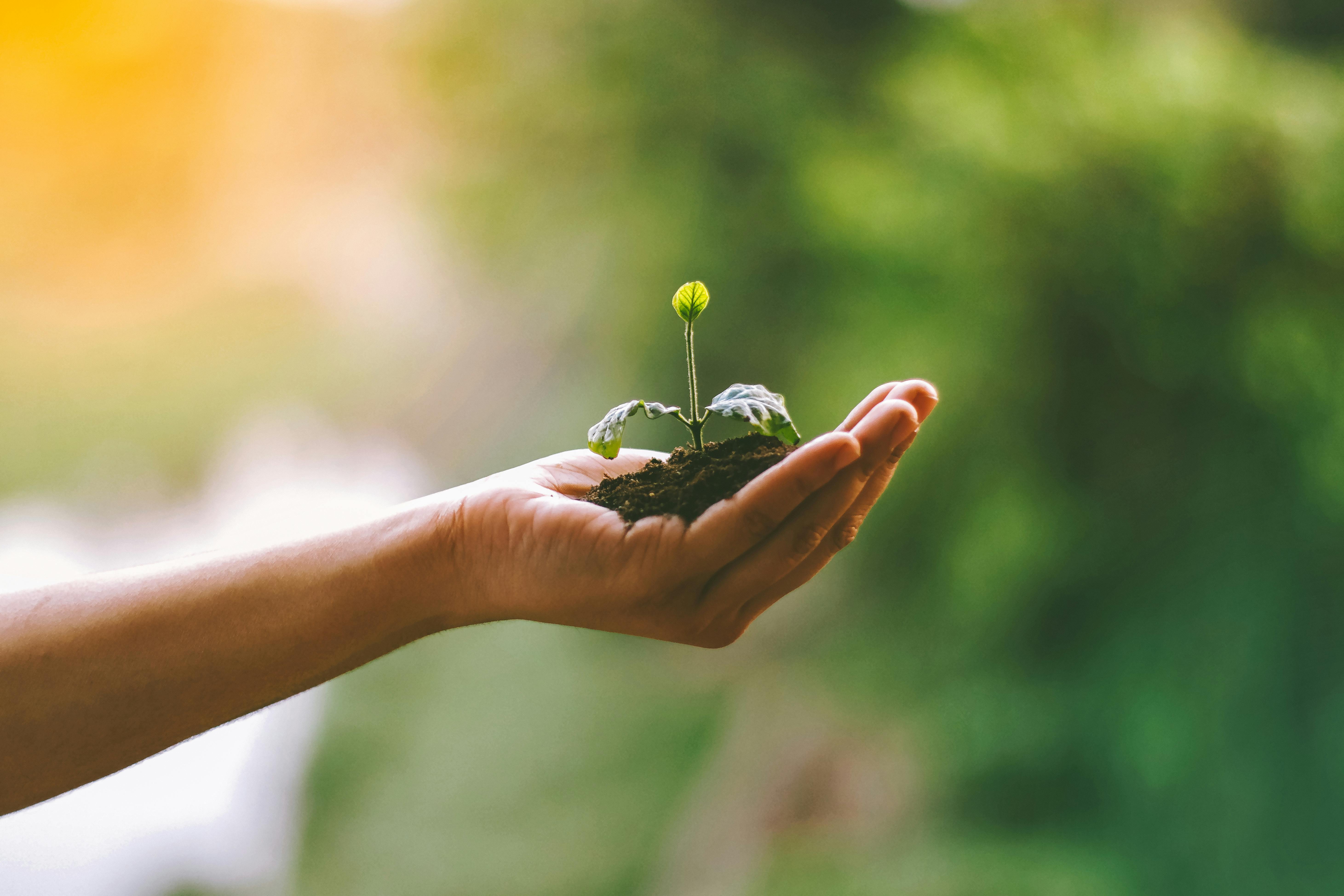 Global Green Jobs Statistics That Guide Strategic Planning
